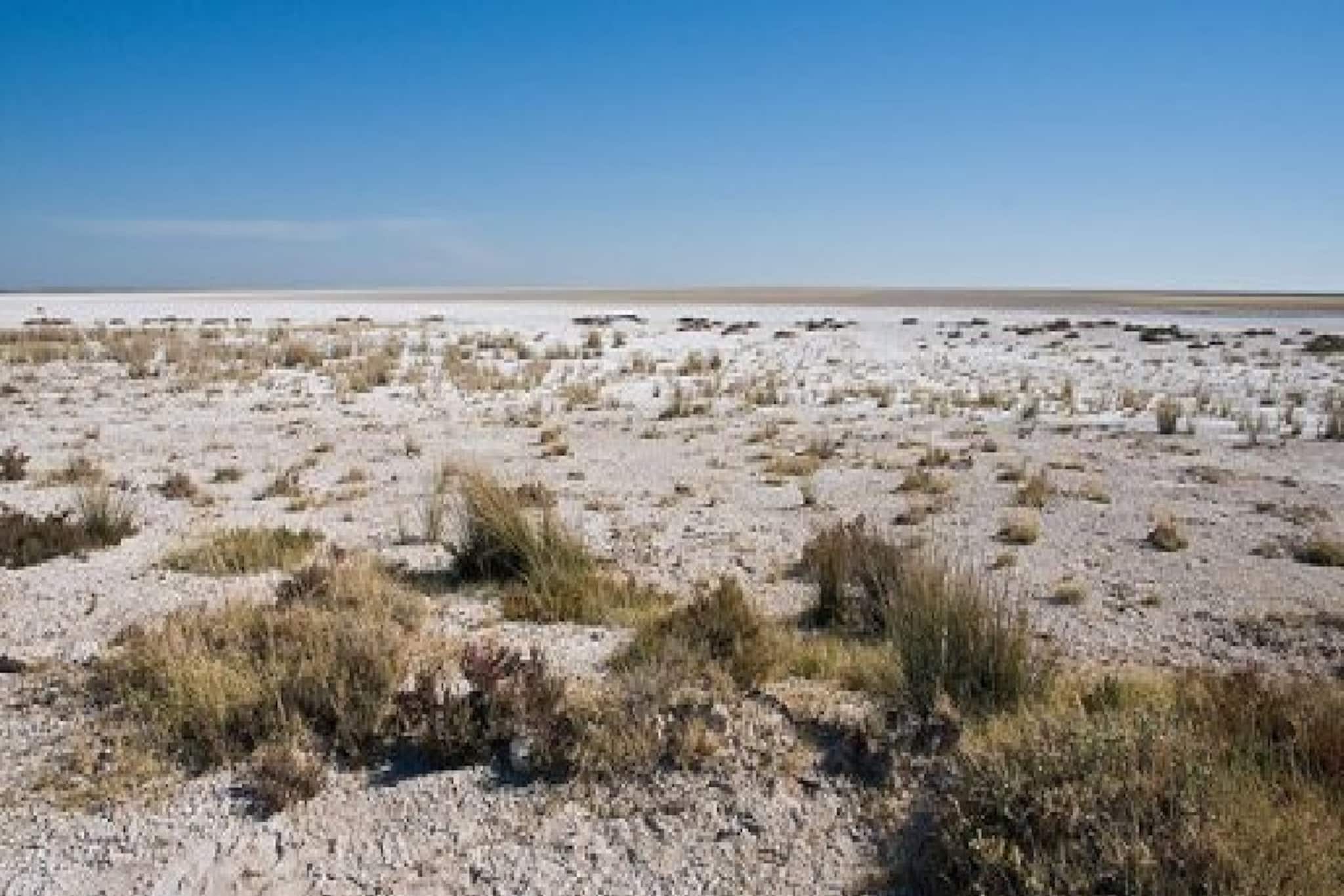 এখন দেখছেন স্থল? আগে এই ৫ স্থানই ছিল অথৈ সমুদ্রের তলায়! জানেন কোনগুলো?