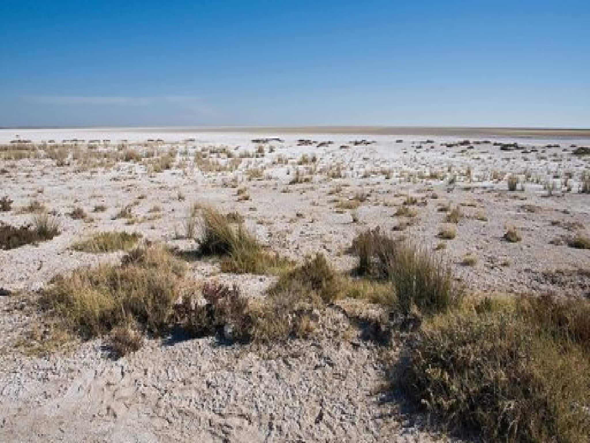 এখন দেখছেন স্থল? আগে এই ৫ স্থানই ছিল অথৈ সমুদ্রের তলায়! জানেন কোনগুলো?