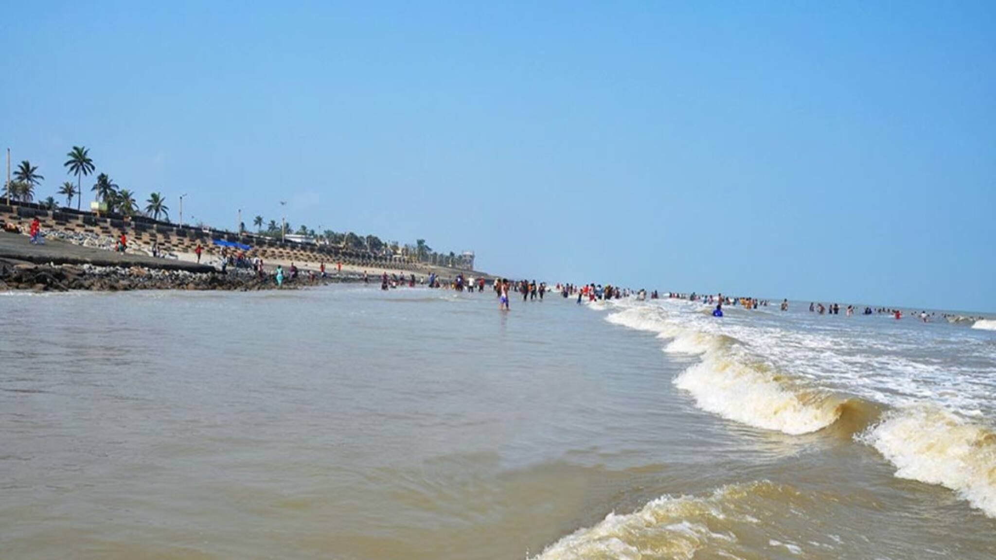 দিঘার সমুদ্রতটে ওগুলো কী...? যেন সবুজ কার্পেটে ঢেকেছে স্নানঘাট, 'ফাঁদে' পড়ছেন পর্যটকরা!