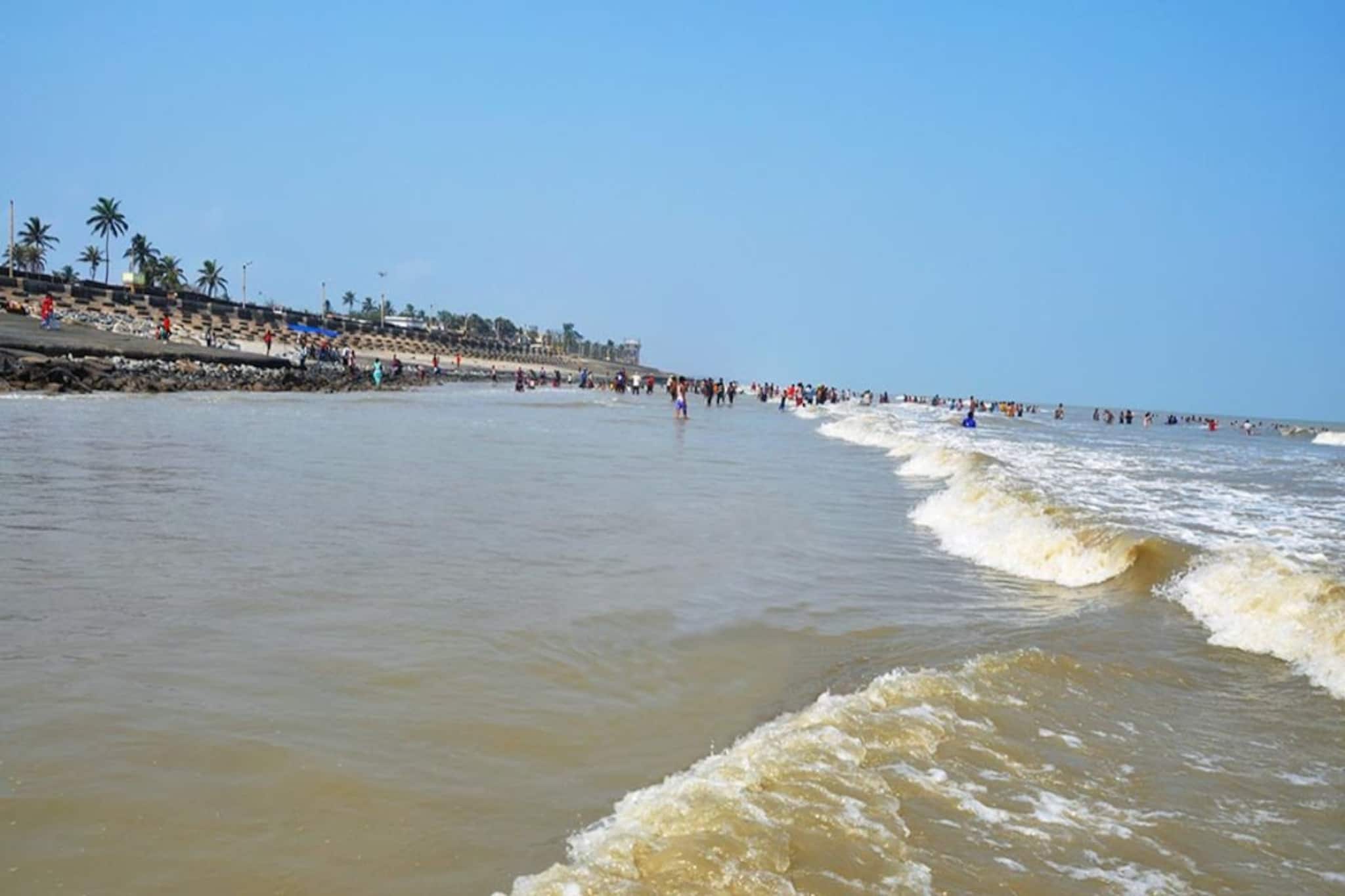 দিঘার সমুদ্রতটে ওগুলো কি...? যেন সবুজ কার্পেটে ঢেকেছে স্নানঘাট, 'ফাঁদে' পড়ছেন পর্যটকরা!