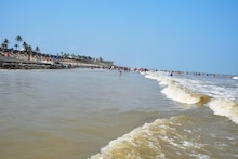 দিঘার সমুদ্রতটে ওগুলো কী...? যেন সবুজ কার্পেটে ঢেকেছে স্নানঘাট, অজান্তেই চরম 'ফাঁদে' পড়ছেন পর্যটকরা