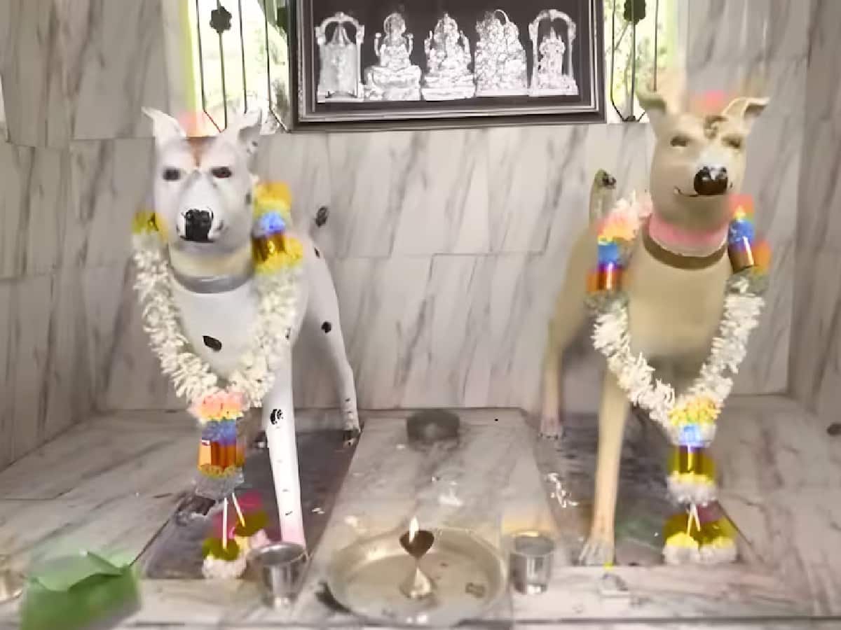 কুকুরের মন্দির
