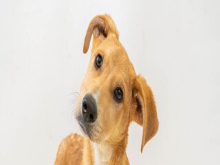 প্রতীকী ছবি