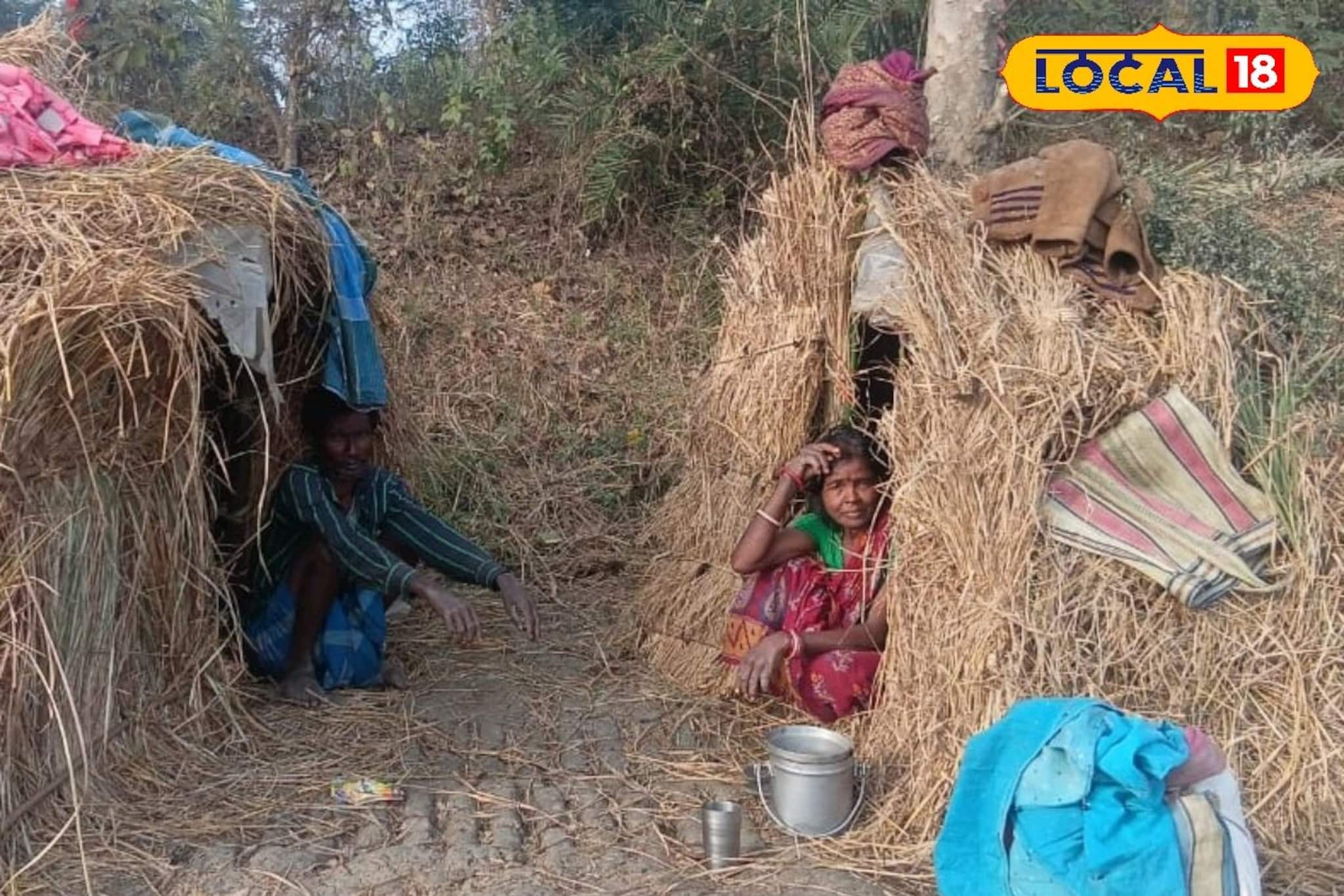 মাঠে ধান কুড়িয়ে আয় মাত্র কয়েকশো টাকা, এক মুঠো ভাতের জন্য বাজি রাখেন জীবন!