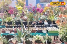 East Bardhaman News: বর্ধমানের বুকে এক টুকরো আমাজন, স্পেশাল কালেকশন দেখে স্বর্গের হদিস পেলেন গাছপ্রেমীরা! না দেখলে পস্তাবেন