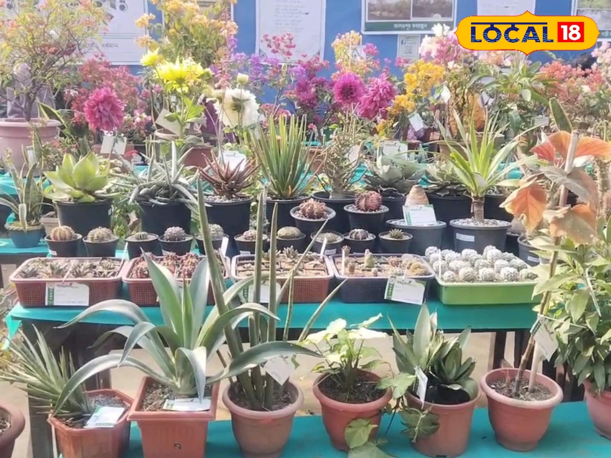 বর্ধমানের বুকে এক টুকরো আমাজন, স্পেশাল কালেকশন দেখে স্বর্গের হদিস পেলেন গাছপ্রেমীরা!