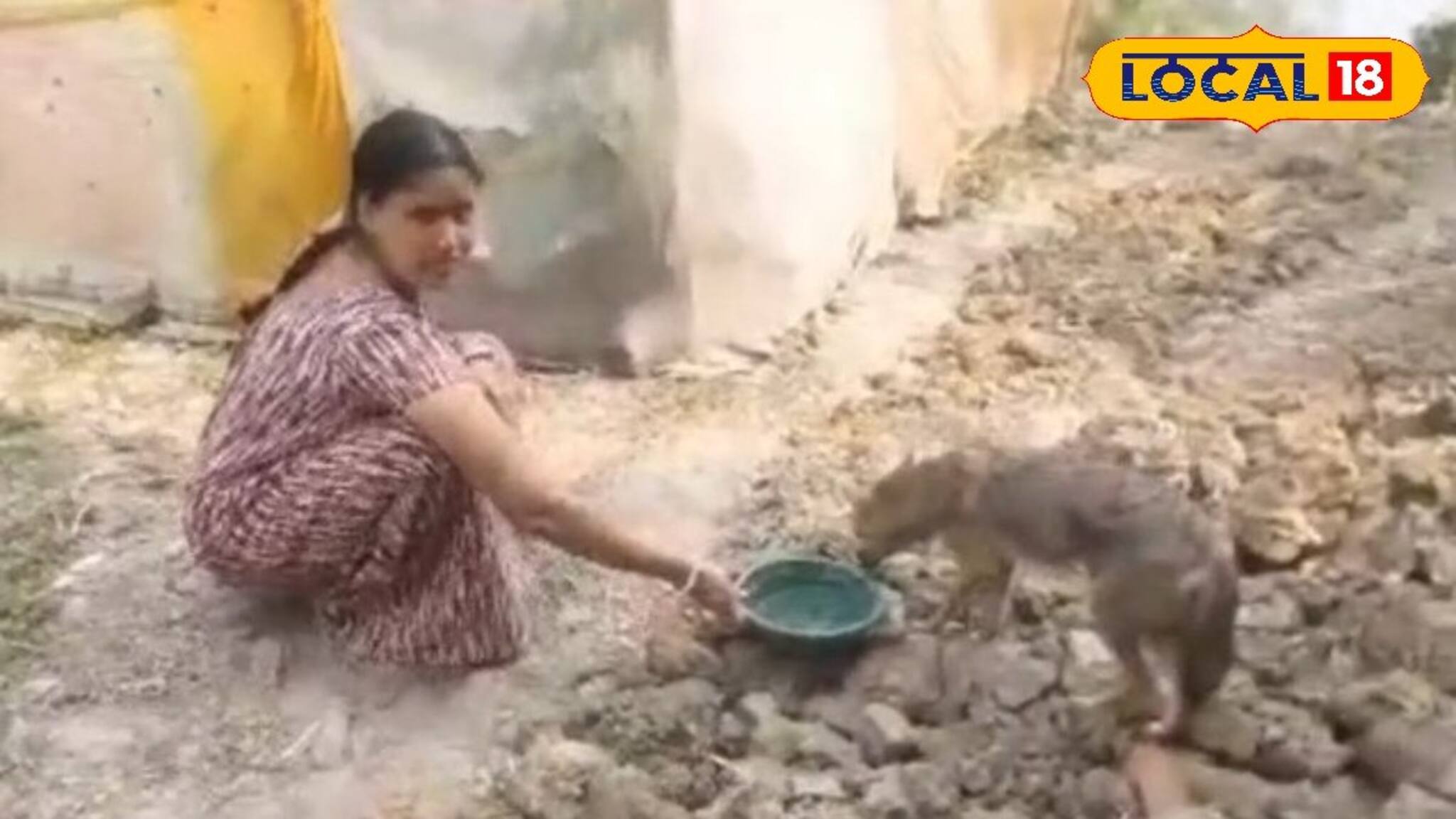 ভয়ের বদলে বাড়িয়ে দিলেন মমতার হাত, অসুস্থ শিয়ালের সেবা করলেন গ্রামবাসীরা! মন ভাল করা ছবি