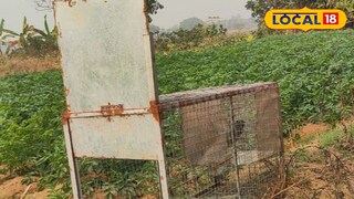 লোহার খাঁচা লোহার খাঁচা