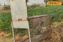 East Bardhaman News: আলুক্ষেতে বড় শিকারের ছক দুষ্কৃতীদের, লোহার খাঁচায় ছটফট করছিল জ্যান্ত টোপ! প্ল্যান ভেস্তে দিল বন দফতর