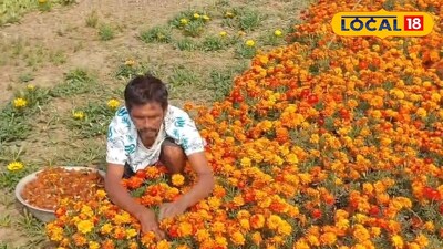 পূর্বস্থলী 