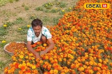 Agriculture News: ঋণ নিয়ে চাষ, অথচ বাজারে দাম মিলছে অর্ধেক! পূর্বস্থলীতে নার্সারির স্বপ্নে ভরাডুবি, চাষিদের হাহাকার