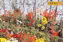 Flower Fair: দিঘা যাওয়ার পথে অভূতপূর্ব ফুল মেলা, রয়েছে ৪০ দেশের জাতীয় ফুল! জানুন কতদিন মিলবে দেখার সুযোগ