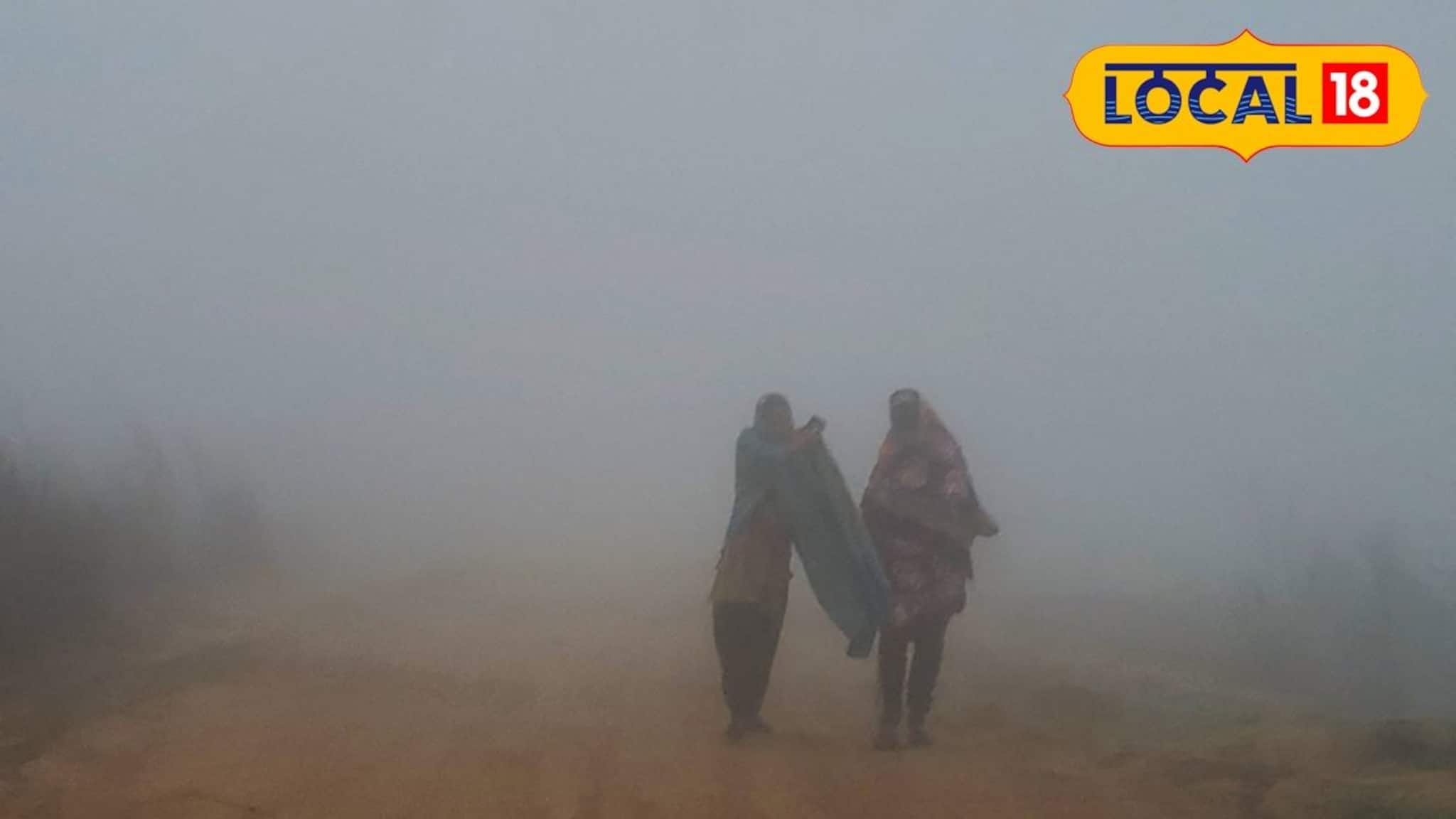 Jhargram Weather Today: রোদের দেখা নেই, পারদ নামার পাশাপাশি বইছে বাতাস! ঝাড়গ্রামে আরও কমবে তাপমাত্রা, জানুন আবহাওয়ার লেটেস্ট আপডেট