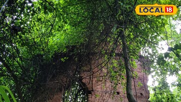 ইতিহাসের