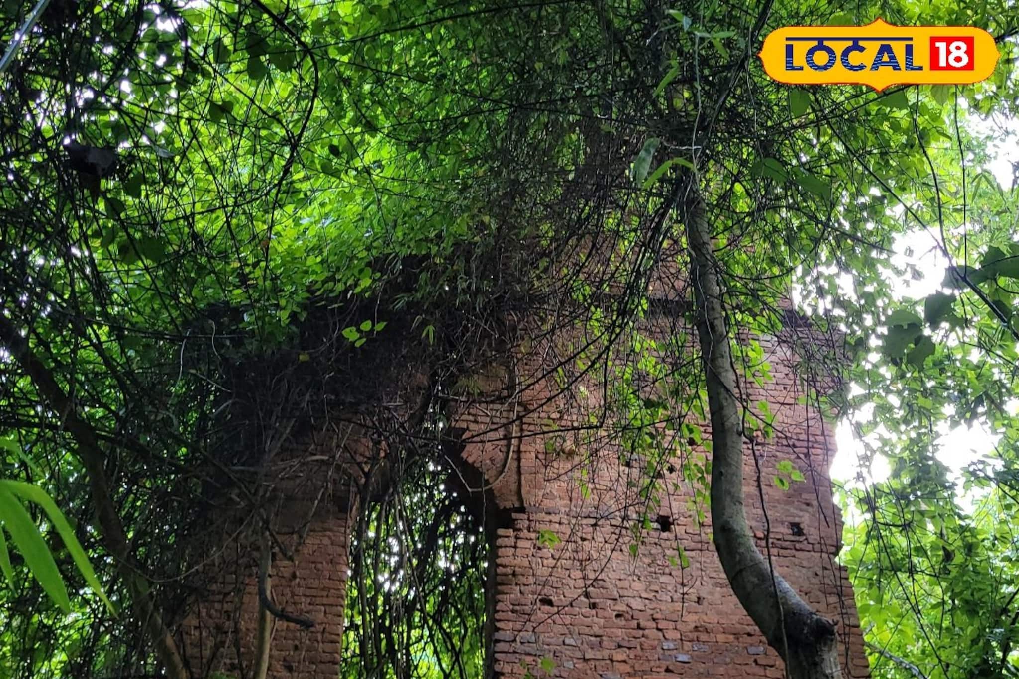 দস্যু দলপতির নামে গড়বাড়ি! নারায়ণগড়ের বিনয়গড়ে ইতিহাসের বিস্ময়কর সাক্ষী দস্যু দলপতির নামে গড়বাড়ি! নারায়ণগড়ের বিনয়গড়ে ইতিহাসের বিস্ময়কর সাক্ষী