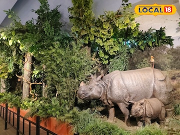 গরুমারা