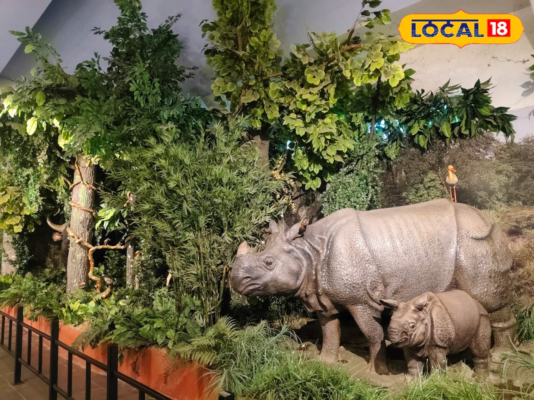 আকর্ষণের পয়লা নম্বরে ইতিহাসের জীবন্ত দলিল গরুমারা জঙ্গল মিউজিয়াম! এক ছাদের তলায় দেখা-শেখা!