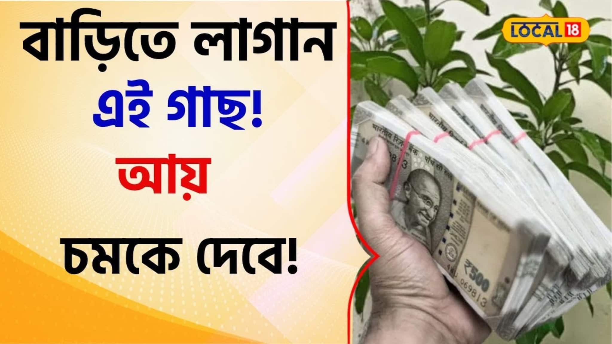 সোনা ফলবে গাছে...! বাড়িতে লাগান এই একটিমাত্র গাছ, ম্যাজিকে করুন লক্ষাধিক টাকা আয়! জানুন...