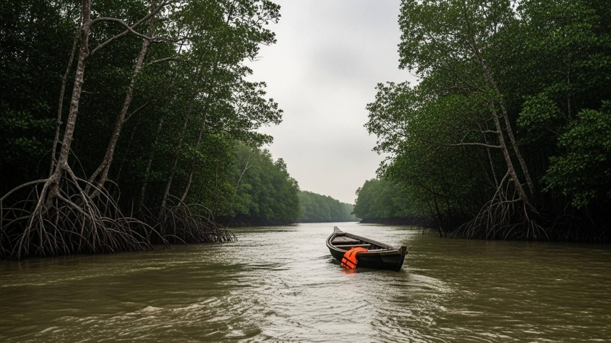 গড়িয়া থেকে আসা ২২ পর্যটকের দলে আচমকা ছড়াল বিষাদ! সুন্দরবনের মাতলা নদীতে তলিয়ে নিখোঁজ ১