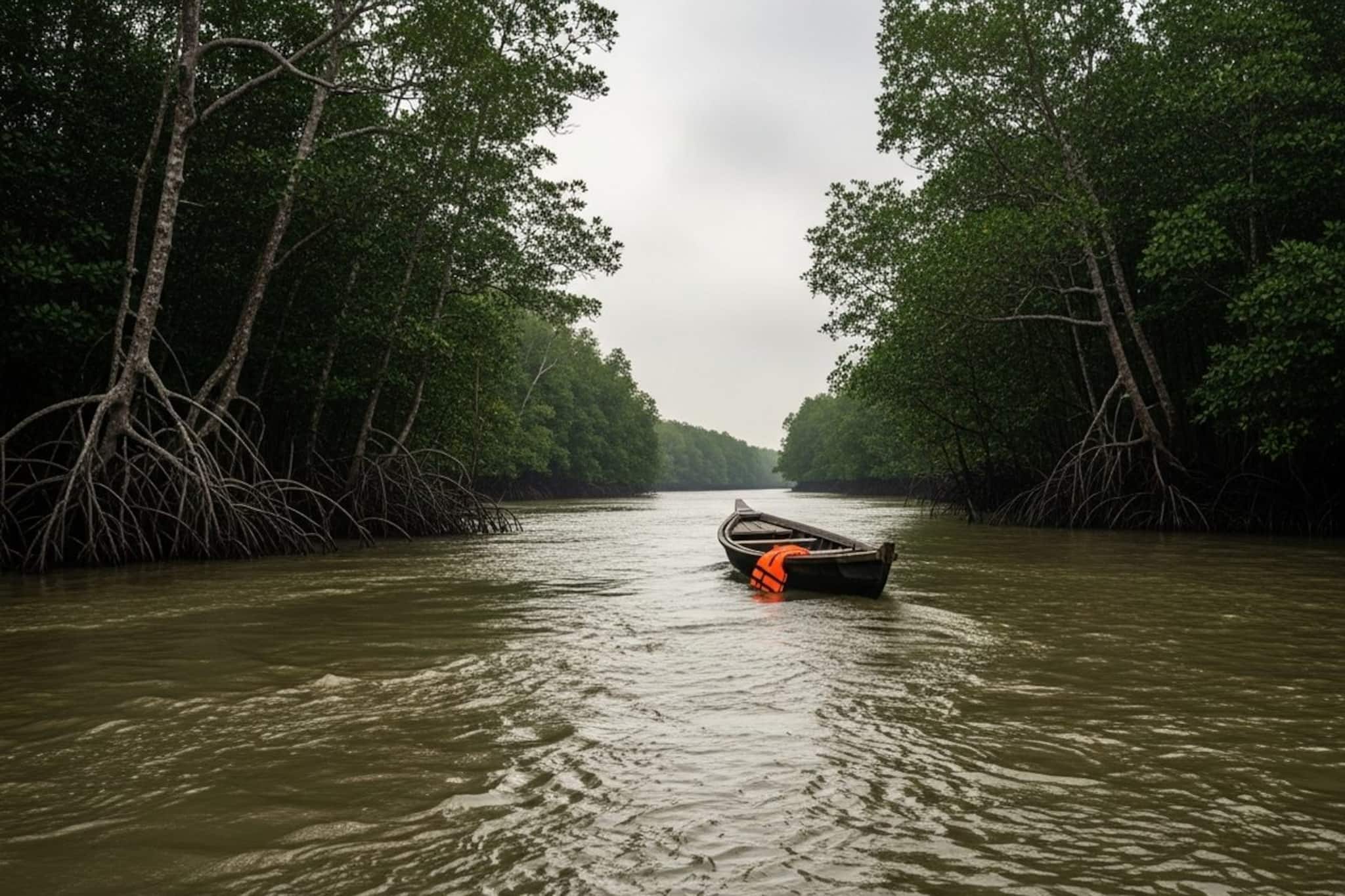 গড়িয়া থেকে আসা ২২ পর্যটকের দলে আচমকা ছড়াল বিষাদ! সুন্দরবনের মাতলা নদীতে তলিয়ে নিখোঁজ ১