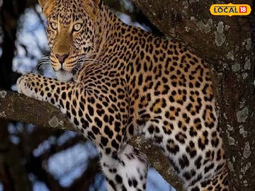 প্রতিকী ছবি প্রতিকী ছবি