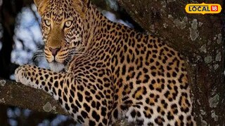 প্রতিকী ছবি প্রতিকী ছবি