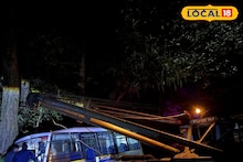 Alipurduar News: হাতির অবাধ বিচরণ, সেখানেই ঢুকে পড়ল পিকনিকের বাস! চিলাপাতার কোর এরিয়ায় যা হল, দেখে শিউরে উঠবেন