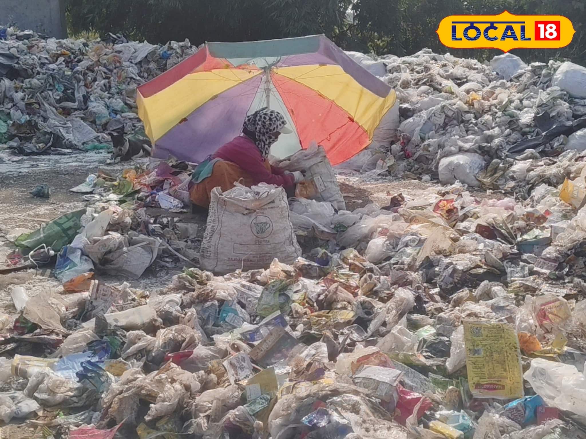 আবর্জনাই আয়ের খনি, ফেলে দেওয়া প্লাস্টিকেই ভাগ্য বদল! মহিলাদের জন্য সুপারহিট ফর্মুলা