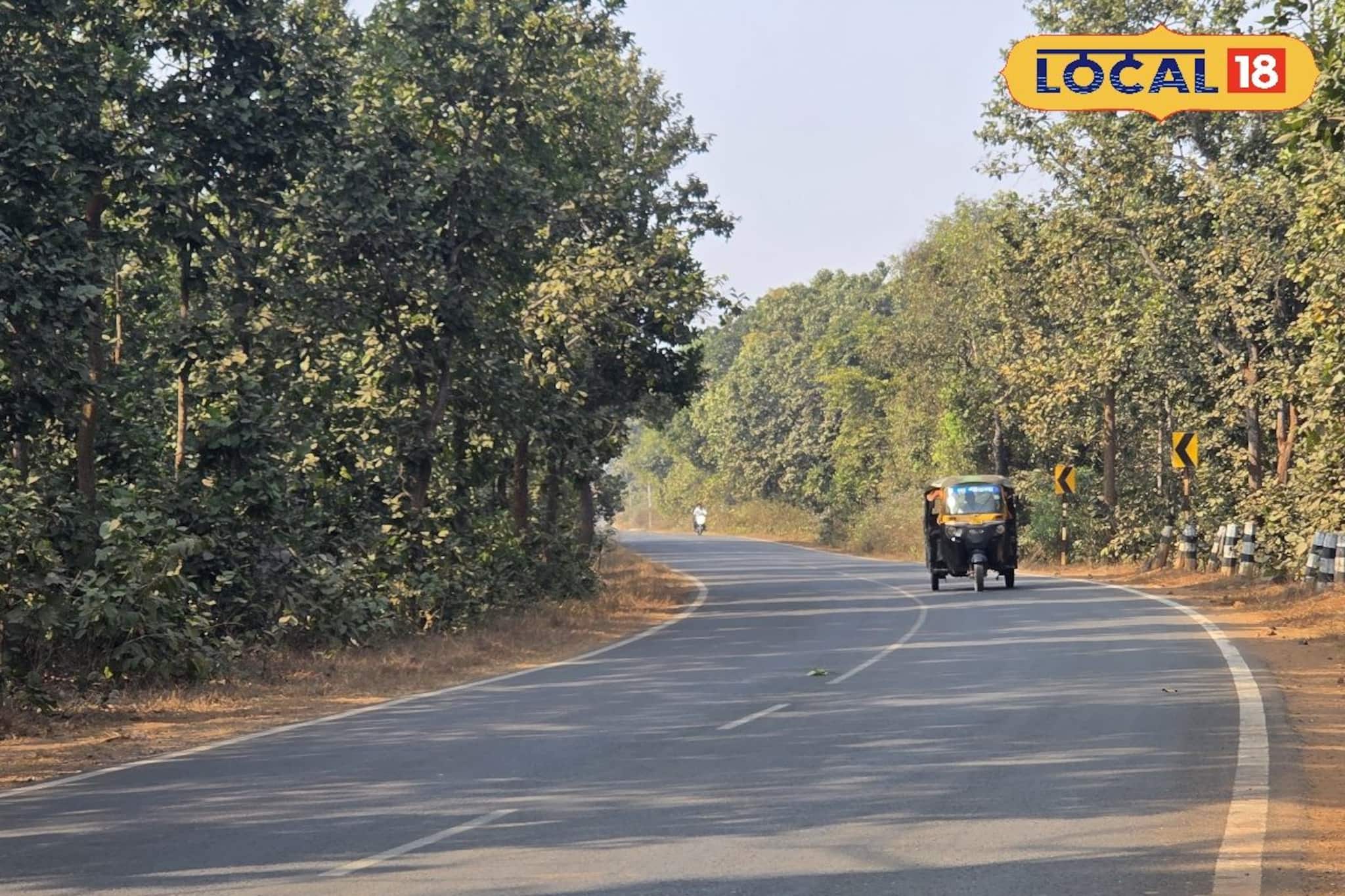 আবহাওয়াই ব্যাপক বদল! বাড়ছে পারদ, জঙ্গলমহলে সকাল-সন্ধে ঠান্ডা, বেলা বাড়তেই গরম