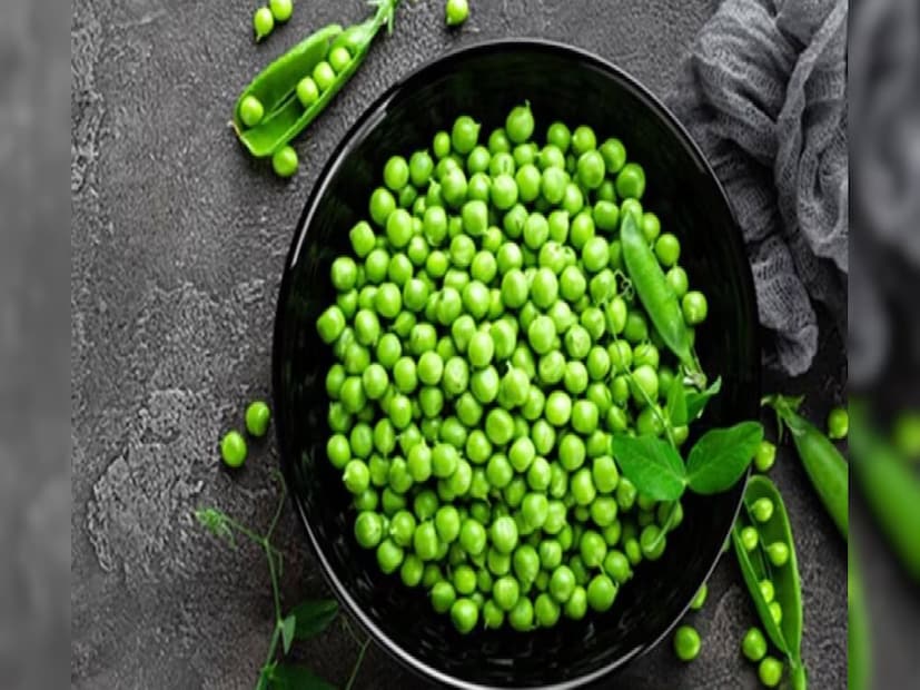 শীতকাল মানেই বাজারে উপচে পড়া মটরশুঁটি! শীতের 'সিগনেচার' এই সবজি ভিটামিন, প্রোটিন, ফাইবার, অ্যান্টিঅক্সিড্যান্টে ভরপুর, ওজন কমায়, এতে থাকা পলিফেনল নামক অ্যান্টি-অক্সিড্যান্ট ক্যানসার প্রতিরোধে ভূমিকা রাখে। কিন্তু এত উপকার থাকা সত্ত্বেও মটরশুঁটি সবার জন্য নয়! হারভার্ড টি এইচ চ্যান স্কুল অফ পাবলিক হেলথ-এর মতে মটরশুঁটিতে থাকে লেকটিন ও ফাইটিক অ্যাসিডের মতো অ্যান্টিনিউট্রিয়েন্ট, ফলে বেশি পরিমানে মটরশুঁটি খেলে শরীরে পুষ্টি শোষণ বাধাপ্রাপ্ত হয় এবং হজমজনিত সমস্যা দেখা দেয়! কারা কারা মটরশুঁটি একেবারেই খাবেন না? শীতকাল মানেই বাজারে উপচে পড়া মটরশুঁটি! শীতের 'সিগনেচার' এই সবজি ভিটামিন, প্রোটিন, ফাইবার, অ্যান্টিঅক্সিড্যান্টে ভরপুর, ওজন কমায়, এতে থাকা পলিফেনল নামক অ্যান্টি-অক্সিড্যান্ট ক্যানসার প্রতিরোধে ভূমিকা রাখে। কিন্তু এত উপকার থাকা সত্ত্বেও মটরশুঁটি সবার জন্য নয়! হারভার্ড টি এইচ চ্যান স্কুল অফ পাবলিক হেলথ-এর মতে মটরশুঁটিতে থাকে লেকটিন ও ফাইটিক অ্যাসিডের মতো অ্যান্টিনিউট্রিয়েন্ট, ফলে বেশি পরিমানে মটরশুঁটি খেলে শরীরে পুষ্টি শোষণ বাধাপ্রাপ্ত হয় এবং হজমজনিত সমস্যা দেখা দেয়! কারা কারা মটরশুঁটি একেবারেই খাবেন না?