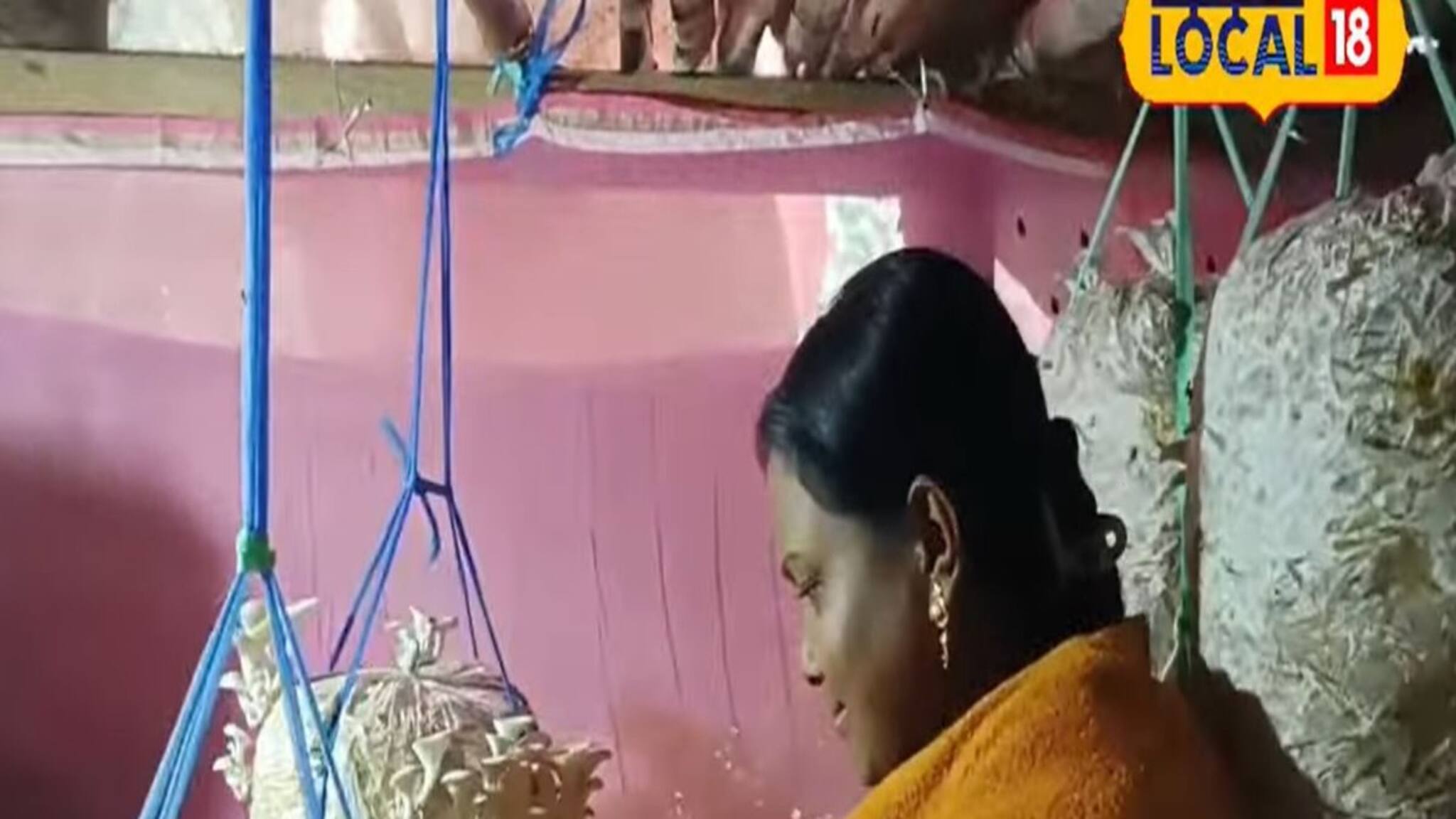 Success Story: স্বামীর দেওয়া ১০০ টাকার পুঁজিতেই ভাগ্যবদল! রান্নাঘরেই শুরু 'মাশরুম ফার্মিং', জেনে নিন সিক্রেট