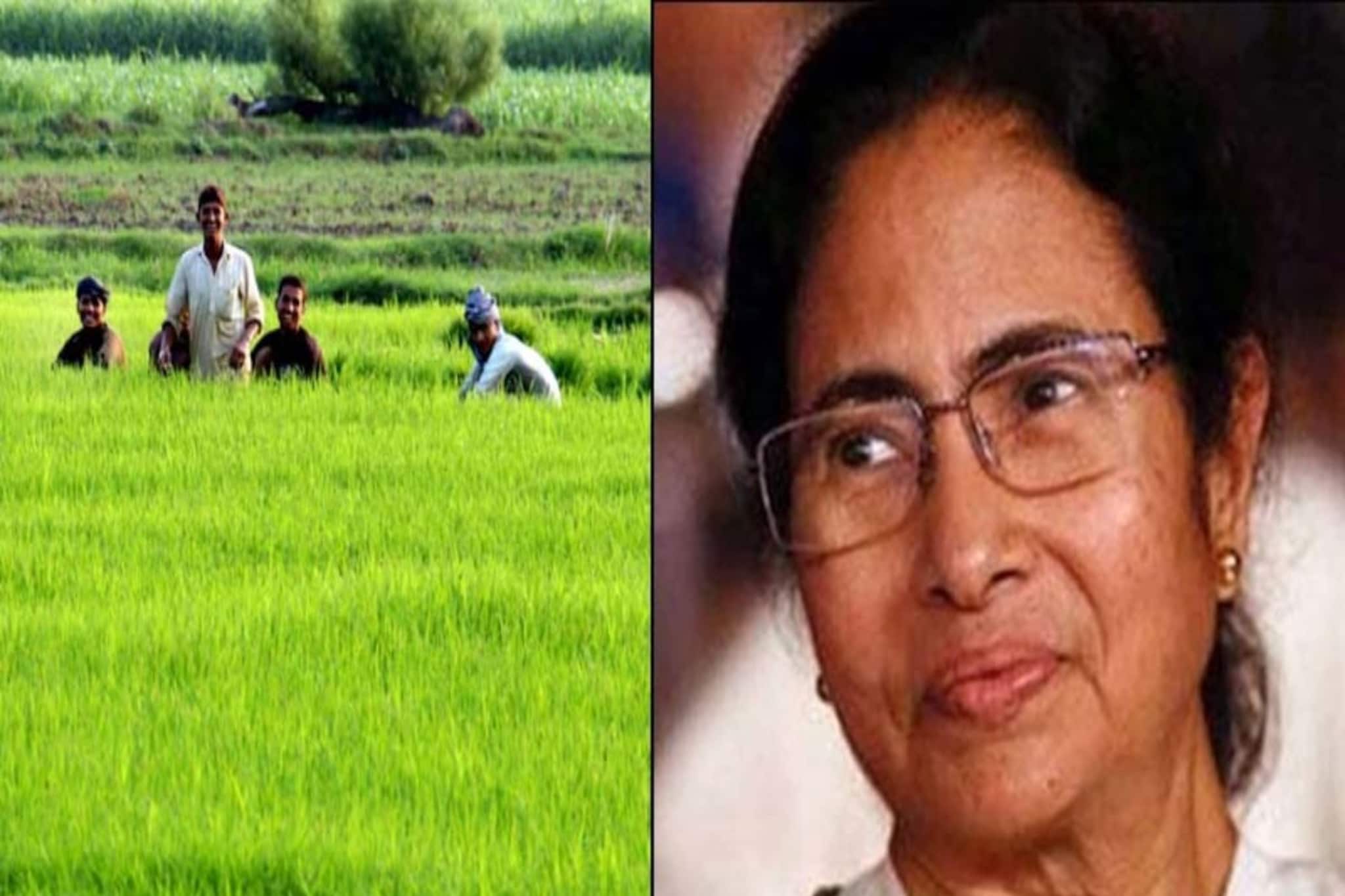 বাংলার চাষিদের জন্য সুখবর!  নতুন চার-চারটি ধানের ভ্যারাইটি আনল রাজ্য, হবে বাম্পার ফলন