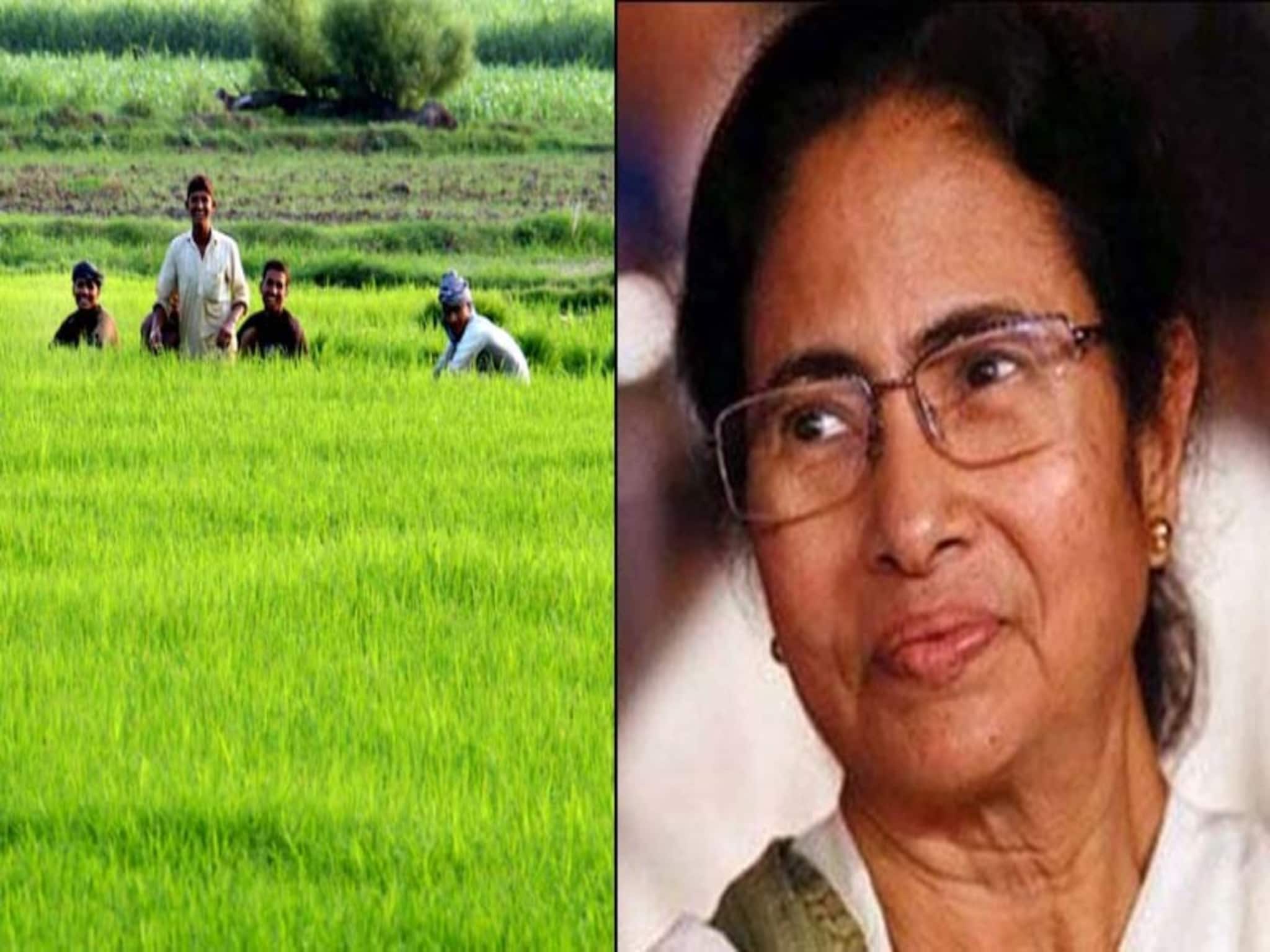 বাংলার চাষিদের জন্য সুখবর!  নতুন চার-চারটি ধানের ভ্যারাইটি আনল রাজ্য, হবে বাম্পার ফলন