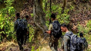 ছত্তিশগড়ের সুকমা ও বিজাপুরে পৃথক সংঘর্ষে নিহত ১৪ মাওবাদী 