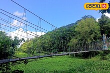 Tourist Spot: ফ্রেস অক্সিজেনের ভাণ্ডার, ভাগীরথীর বুকে এক টুকরো স্বর্গ! সপ্তাহান্তের ছুটিতে গন্তব্য হোক এই মায়াবী দ্বীপ