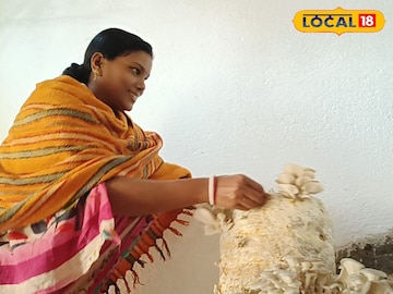 রান্নাঘরেই শুরু মাশরুম চাষ, প্রতিদিন হাজার টাকা আয় করছেন তমলুকের গৃহবধূ রান্নাঘরেই শুরু মাশরুম চাষ, প্রতিদিন হাজার টাকা আয় করছেন তমলুকের গৃহবধূ