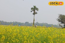 Saraswati Puja Photoshoot: সরস্বতী পুজোয় DDLJ-র পোজে ছবি! নীল আকাশের নিচে হলুদের ছটাই গলে যাবে সঙ্গীর মন, কোথায় পাবেন এমন জায়গা, জানুন ঝটপট