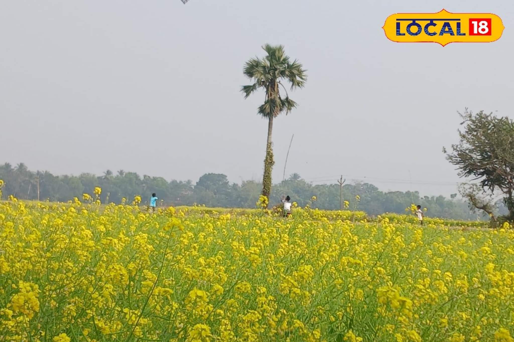 সরস্বতী পুজোয় DDLJ-র পোজে ছবি! নীল আকাশের নিচে হলুদের ছটাই গলে যাবে সঙ্গীর মন, কোথায় পাবেন