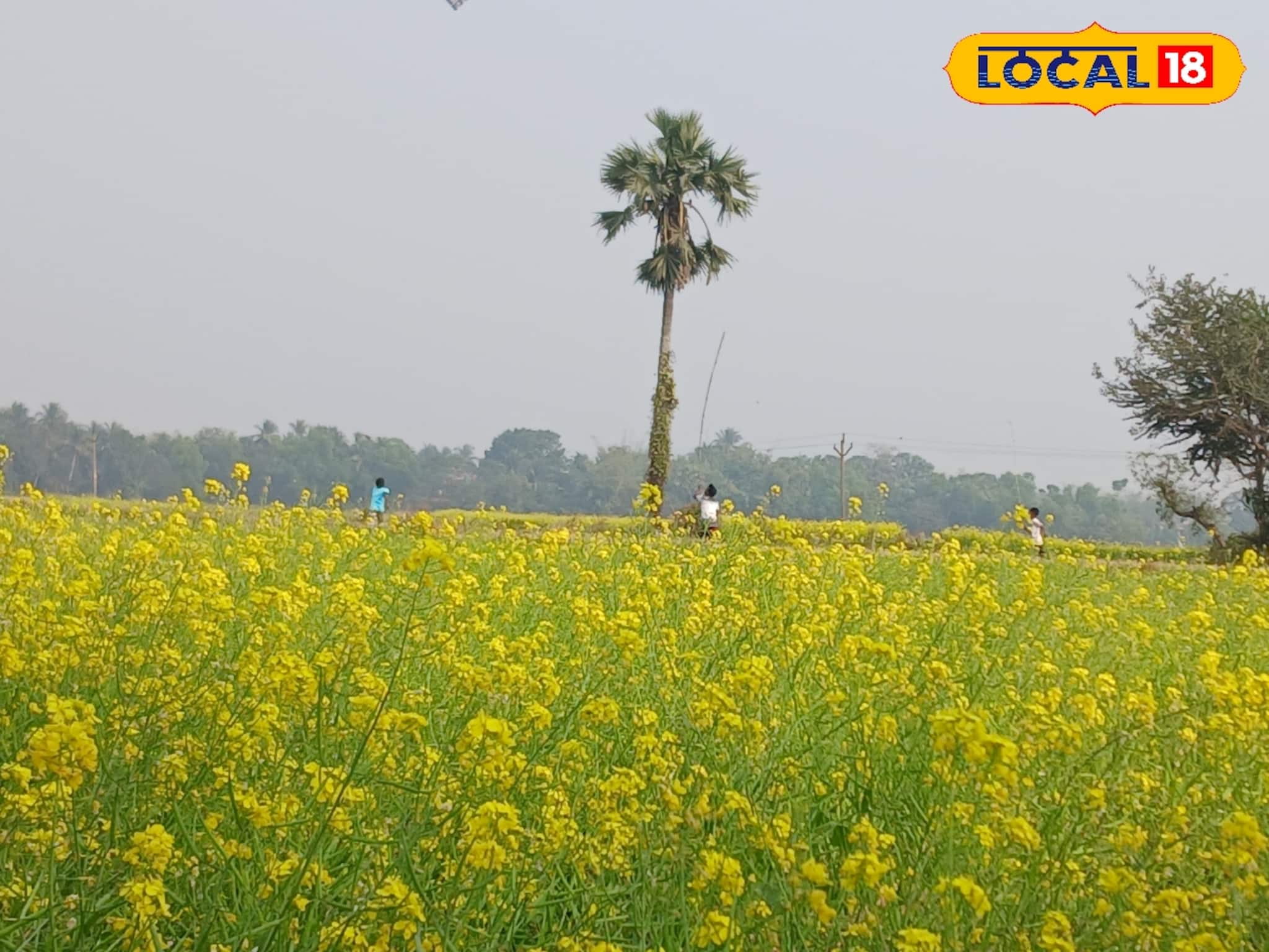 সরস্বতী পুজোয় DDLJ-র পোজে ছবি! নীল আকাশের নিচে হলুদের ছটাই গলে যাবে সঙ্গীর মন, কোথায় পাবেন