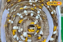 Business News: লক্ষ্মীলাভের নয়া দাওয়াই, অনলাইনে অর্ডার সামাল দিতে হিমশিম খাচ্ছেন মহিলারা! ঘরে বসে 'এই' কাজ করে অঢেল আয়