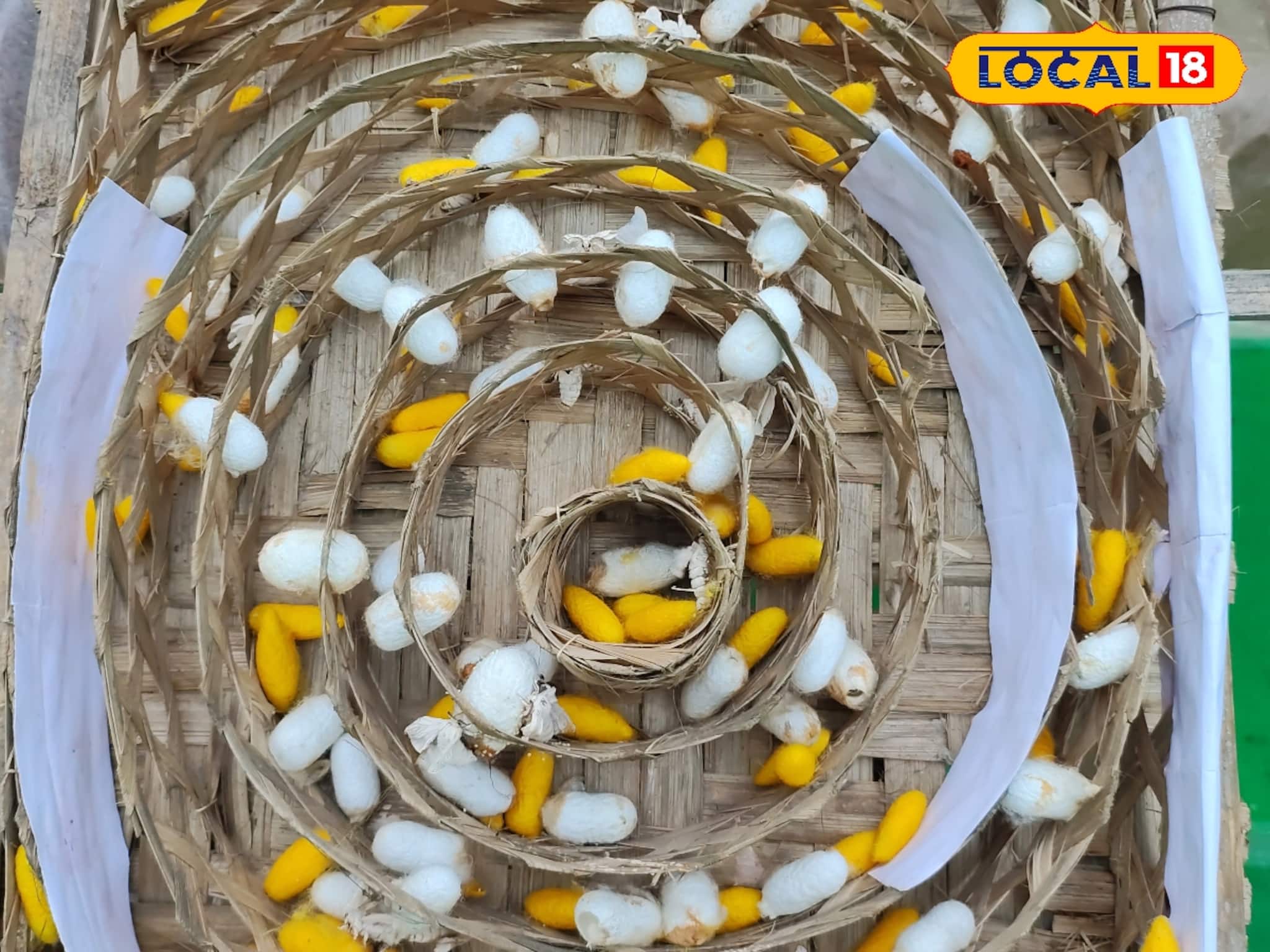 অনলাইনে অর্ডার সামাল দিতে হিমশিম খাচ্ছেন মহিলারা, ঘরে বসে 'এই' কাজ করে অঢেল আয়