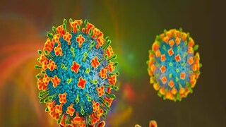 Nipah Virus: এবার আক্রান্ত বর্ধমান মেডিক্যাল কলেজের জুনিয়র ডাক্তার