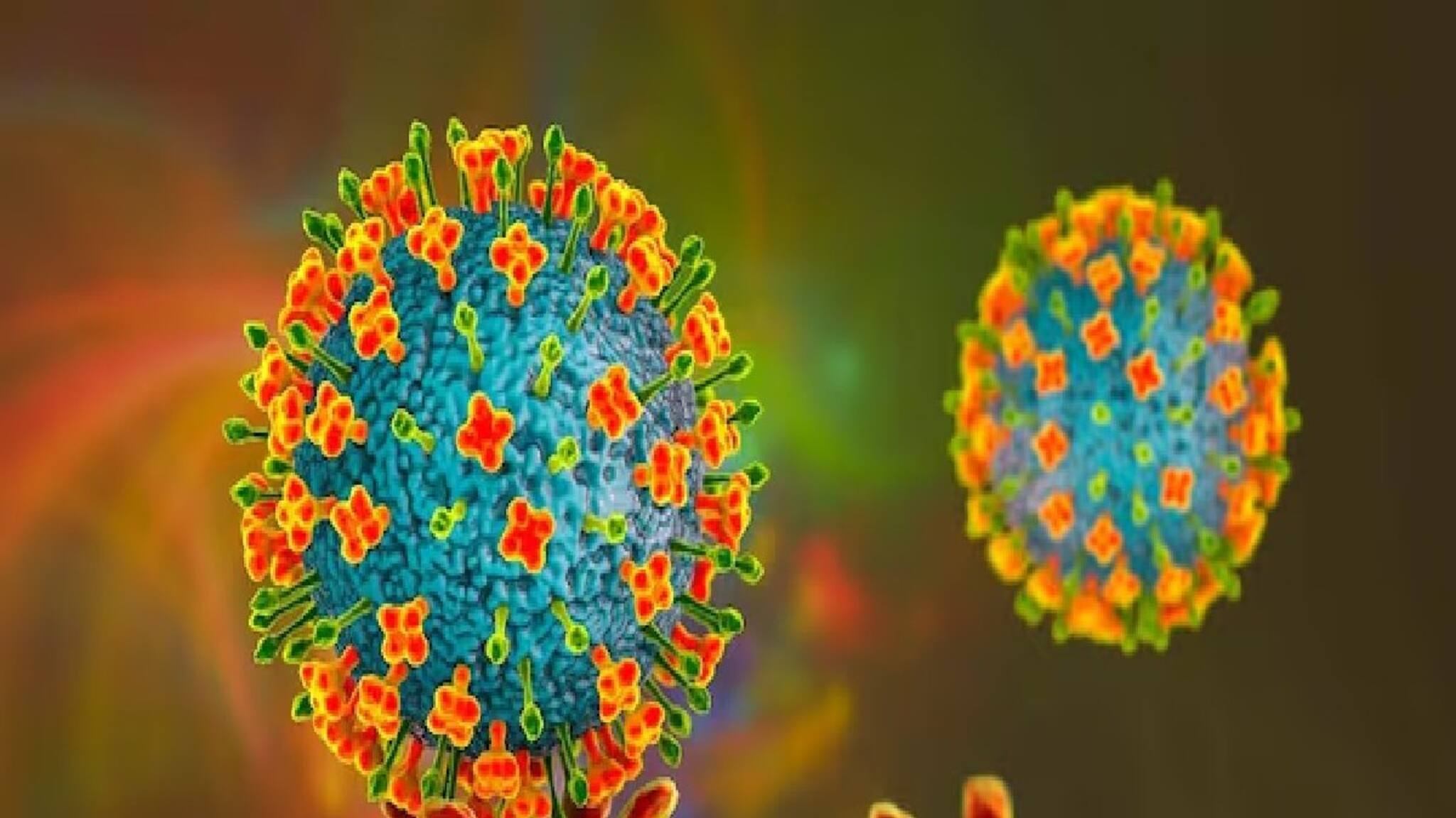 NIPAH Virus: আরও একজনের শরীরে নিপা ভাইরাস? বর্ধমান মেডিক্যালের জুনিয়র ডাক্তারকে আনা হল কলকাতায়! সংস্পর্শে এসেছিলেন আক্রান্ত নার্সের সঙ্গে