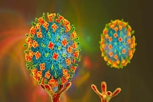 Nipah Virus: নিপা ভাইরাস আক্রান্ত বাংলার দুই নার্স! বাড়ছে উদ্বেগ, চিহ্নিত করা হল ৩ 'হাই রিস্ক জোন'