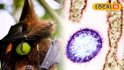 প্রতিকী ছবি