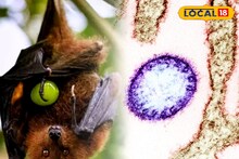 North 24 Parganas News: AIIMS'র রিপোর্টে চক্ষু চড়কগাছ, নিপা ভাইরাসে আক্রান্ত খোদ স্বাস্থ্যকর্মীরা! বারাসতে নতুন আতঙ্ক