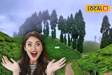 North Bengal Tourism: পাহাড়-জঙ্গলের বুক চিরে উৎসবের মেজাজ! উত্তরবঙ্গ ভ্রমণে নতুন মাত্রা যোগ করতে শুরু হচ্ছে ৩ দিনের জমকালো কার্নিভ্যাল, জানুন তারিখ