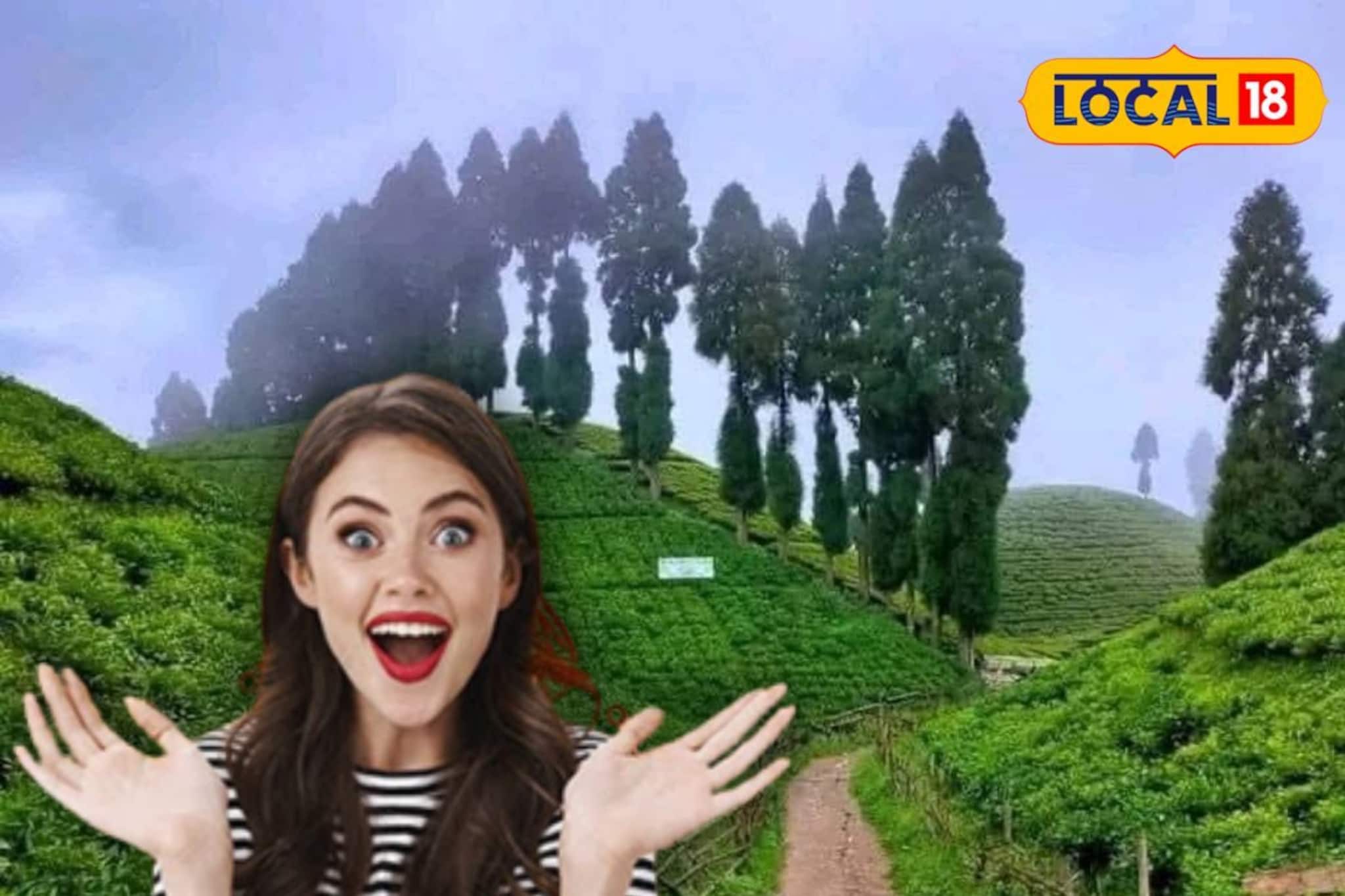 উত্তরবঙ্গ ভ্রমণে নতুন মাত্রা যোগ করতে শুরু হচ্ছে ৩ দিনের জমকালো কার্নিভ্যাল, জানুন তারিখ