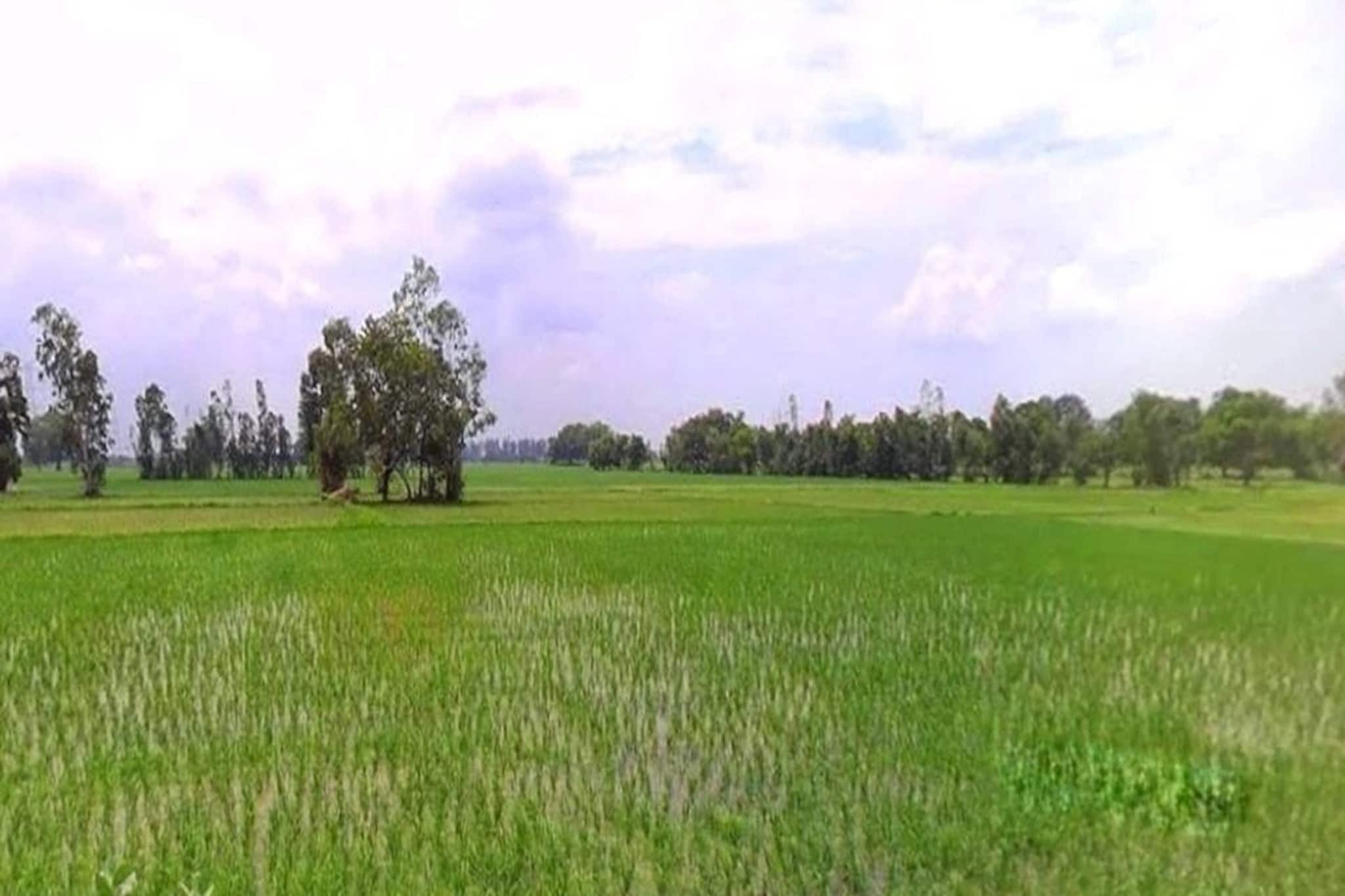 শ্বশুরবাড়িতে থাকতেন, করতেন প্রচুর মদ্যপান, রবিবার সকালে চাষের জমিতে উদ্ধার দেহ শ্বশুরবাড়িতে থাকতেন, করতেন প্রচুর মদ্যপান, রবিবার সকালে চাষের জমিতে উদ্ধার দেহ