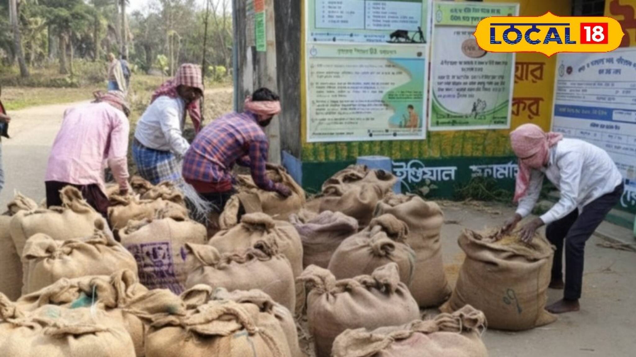 Birbhum News: সহায়ক মূল্যে ধান কেনায় জেলায় ফিরল রেকর্ড গতি! ৭৩ হাজার চাষির অংশগ্রহণে নয়া নজির বীরভূমে